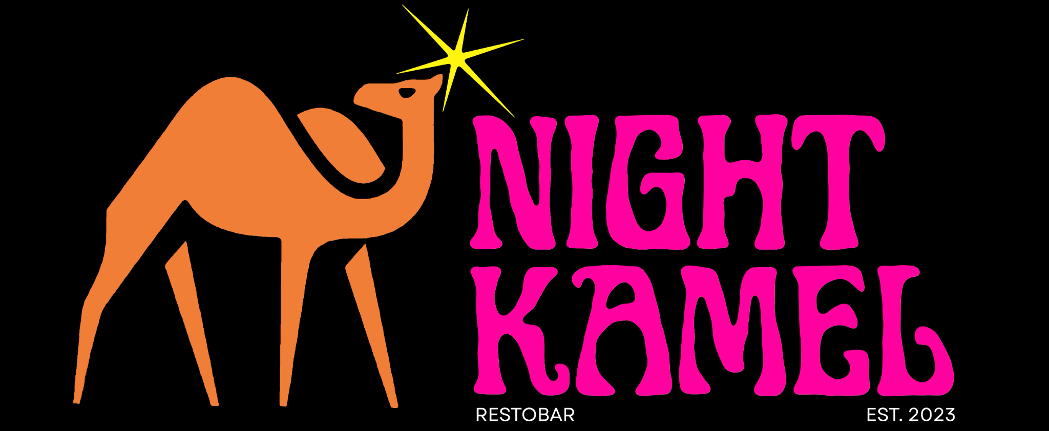 Night Kamel